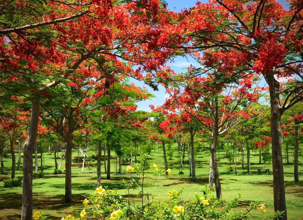 Ttc Resort - Doc Let Ninh Hoa Luaran gambar