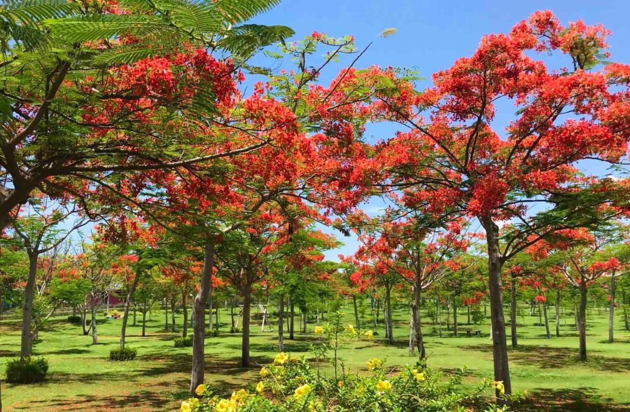 Ttc Resort - Doc Let Ninh Hoa Luaran gambar